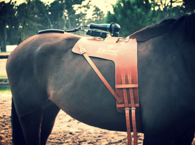 Equitec avec surfaix