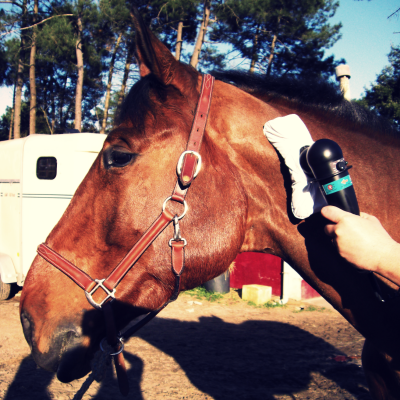 Equitec
